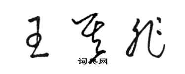 駱恆光王其非草書個性簽名怎么寫