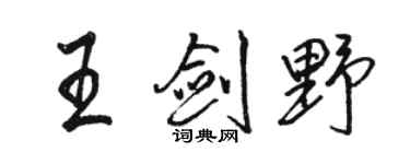 駱恆光王劍野行書個性簽名怎么寫