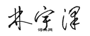 駱恆光林宇澤草書個性簽名怎么寫