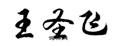 胡問遂王聖飛行書個性簽名怎么寫