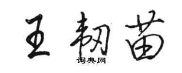 駱恆光王韌苗行書個性簽名怎么寫