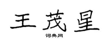 袁強王茂星楷書個性簽名怎么寫