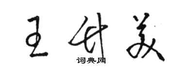 駱恆光王竹美草書個性簽名怎么寫