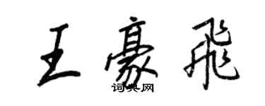 王正良王豪飛行書個性簽名怎么寫