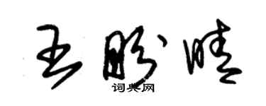 朱錫榮王盼晴草書個性簽名怎么寫