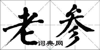 翁闓運老參楷書怎么寫