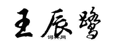 胡問遂王辰鷺行書個性簽名怎么寫