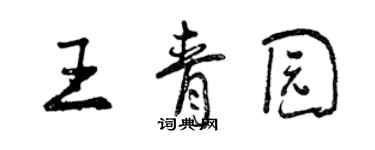 曾慶福王青園行書個性簽名怎么寫