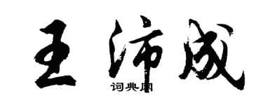 胡問遂王沛成行書個性簽名怎么寫