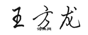 駱恆光王方龍行書個性簽名怎么寫