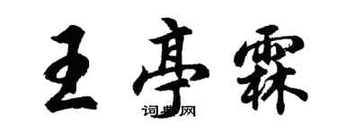 胡問遂王亭霖行書個性簽名怎么寫