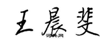 王正良王晨斐行書個性簽名怎么寫