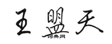 駱恆光王盟天行書個性簽名怎么寫