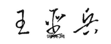 駱恆光王聖兵草書個性簽名怎么寫