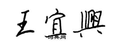 王正良王宜興行書個性簽名怎么寫