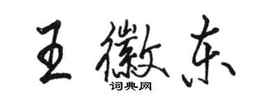 駱恆光王徽東行書個性簽名怎么寫