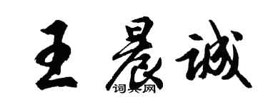 胡問遂王晨誠行書個性簽名怎么寫