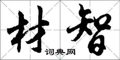 胡問遂材智行書怎么寫