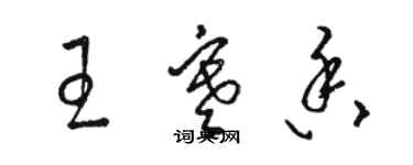 駱恆光王寒香草書個性簽名怎么寫