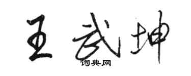 駱恆光王武坤行書個性簽名怎么寫