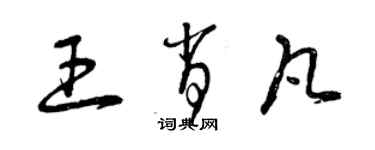 曾慶福王肖凡草書個性簽名怎么寫