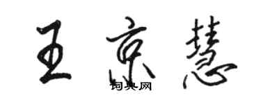 駱恆光王京慧行書個性簽名怎么寫