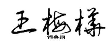 曾慶福王梅樺草書個性簽名怎么寫