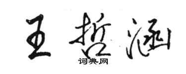 駱恆光王哲涵行書個性簽名怎么寫