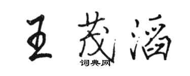 駱恆光王茂滔行書個性簽名怎么寫