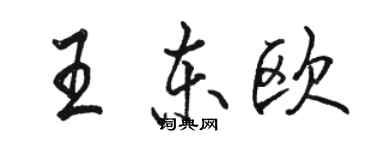 駱恆光王東歐行書個性簽名怎么寫