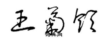 曾慶福王菊領草書個性簽名怎么寫