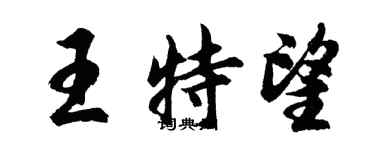 胡問遂王特望行書個性簽名怎么寫