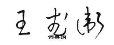 駱恆光王武衛草書個性簽名怎么寫