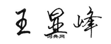 駱恆光王顯峰行書個性簽名怎么寫