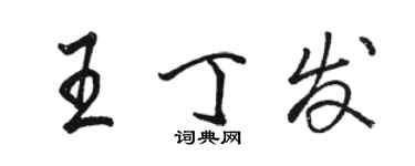 駱恆光王丁發行書個性簽名怎么寫