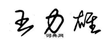 朱錫榮王力雄草書個性簽名怎么寫