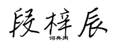 王正良段梓辰行書個性簽名怎么寫