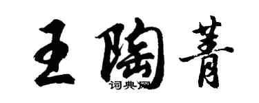 胡問遂王陶菁行書個性簽名怎么寫