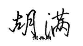 駱恆光胡滿行書個性簽名怎么寫