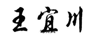 胡問遂王宜川行書個性簽名怎么寫