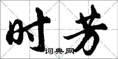 胡問遂時芳行書怎么寫