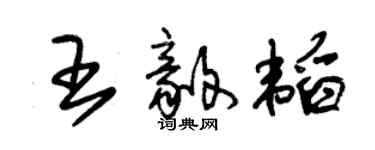 朱錫榮王毅韜草書個性簽名怎么寫