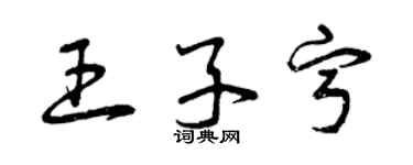 曾慶福王子寧草書個性簽名怎么寫