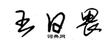 朱錫榮王日畏草書個性簽名怎么寫
