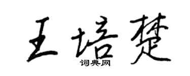 王正良王培楚行書個性簽名怎么寫