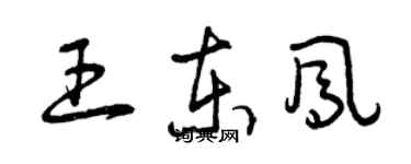 曾慶福王東鳳草書個性簽名怎么寫