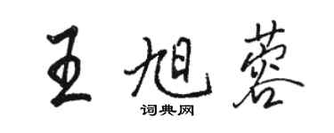 駱恆光王旭蓉行書個性簽名怎么寫