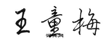 駱恆光王童梅行書個性簽名怎么寫