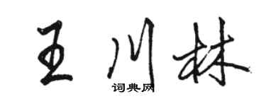 駱恆光王川林行書個性簽名怎么寫
