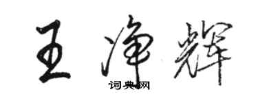 駱恆光王淨輝行書個性簽名怎么寫